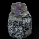 Quartz (variety amethyst)<br />Tadami, Minamiaizu District, Fukushima Prefecture, Tohoku Region, Honshu Island, Japan<br />3.8 x 2.5 cm<br /> (Author: am mizunaka)