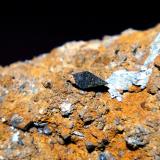Anatasa<br />Crapteig, Thusis, Domleschg, Valle Hinterrhein, Grisones (Grischun; Graubünden), Suiza<br />Cristal de 0,7 cm.<br /> (Autor: Antonio P. López)