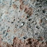 AnatasaCantera del Moro, Santiago Millas, Comarca Maragatería, León, Castilla y León, España11 cm x 7 cm (Autor: Javi Llamazares)