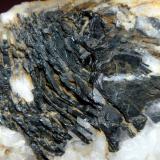 Hematites en Cuarzo<br />Mina Diéresis, Puerto del Cabril, Hornachuelos, Comarca Valle Medio del Guadalquivir, Córdoba, Andalucía, España<br />Campo de visión 5 cm.<br /> (Autor: Antonio P. López)