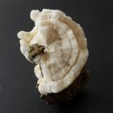 CalciteCantera Leilenkopf, Burgbrohl, Ahrweiler, Eifel, Renania-Palatinado/Rheinland-Pfalz, Alemania4 x 3 cm (Author: Andreas Gerstenberg)