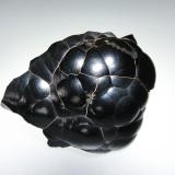 Hematites<br />Mina La Incomparable, Villafranca de Córdoba, Comarca Alto Guadalquivir, Córdoba, Andalucía, España<br />5 x 4 cm.<br /> (Autor: Antonio P. López)