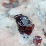 Almandino (grupo granate)Mas Sever Quarry, Massabè (Mas Ceber), Sils, Comarca La Selva, Gerona / Girona, Catalonia / Catalunya, Spain3 mm (Autor: Iwok)