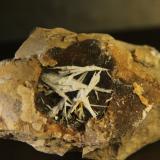 Celestine<br />Molinera mine, La Granja d´Escarp, Municipio La Granja d´Escarp, Comarca Segrià, Lérida / Lleida, Catalonia / Catalunya, Spain<br />63mm x 44mm x 46mm<br /> (Author: franjungle)