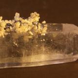 Apatite and Pyrite on Quartz<br />Minas da Panasqueira, Aldeia de São Francisco de Assis, Covilhã, Castelo Branco, Cova da Beira, Centro, Portugal<br />25mm x 86mm x 21mm<br /> (Author: franjungle)