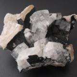 Apophyllite (Series), Calcite, Julgoldite (Series)Cantera Andesita, Kreimbach-Kaulbach, Lauterecken-Wolfstein, Kusel, Renania-Palatinado/Rheinland-Pfalz, Alemania5 x 4 cm (Author: Andreas Gerstenberg)