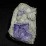 Fluorite, Quartz, BariteJebel Tirhemi, Taourirt, Taourirt Province, Oriental Region, Morocco4.7 x 3.3 cm (Author: am mizunaka)