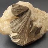 MarcasiteOberschlema, Bad Schlema, Erzgebirgskreis, Sajonia/Sachsen, Alemania6 x 4 cm (Author: Andreas Gerstenberg)
