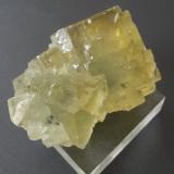 Fluorite<br />Pöhla-Tellerhäuser Mine, Zweibach vein, 240 m level, Pöhla, Schwarzenberg District, Erzgebirgskreis, Saxony/Sachsen, Germany<br />4,5 x 3,5 cm<br /> (Author: Andreas Gerstenberg)