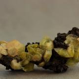 Ettringita<br />Mina N'Chwaning II, Zona minera N'Chwaning, Kuruman, Kalahari manganese field (KMF), Provincia Septentrional del Cabo, Sudáfrica<br />30X10X10 mm<br /> (Autor: Juan Espino)