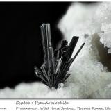 Pseudobrookite<br />Thomas Range, Juab County, Utah, USA<br />fov 5 mm<br /> (Author: ploum)