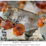 Spessartine on Quartz<br />Wushan Spessartine prospects, Tongbei, Yunxiao, Zhangzhou Prefecture, Fujian Province, China<br />fov 23 mm<br /> (Author: ploum)