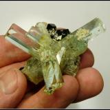 Beryl (variety aquamarine) with schorl<br />Erongo Mountain, Usakos, Erongo Region, Namibia<br />60 x 50 x 47 mm<br /> (Author: Pierre Joubert)