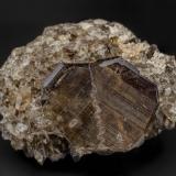 Quartz (variety smoky quartz)<br />Tiro Estrella Mine, El Capitan Mountains, Capitan District, Lincoln County, New Mexico, USA<br />6.0 x 4.2 cm<br /> (Author: am mizunaka)