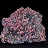 Rhodochrosite, Quartz, Tetrahedrite, ChalcopyriteOppu Mine, Nishimeya-mura, Nakatsugaru District, Aomori Prefecture, Tohoku Region, Honshu Island, Japan8.5 x 6.8 cm (Author: am mizunaka)