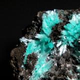 Auricalcita<br />Mina 79, Chilito, Zona Hayden, Distrito Banner, Montes Dripping Spring, Condado Gila, Arizona, USA<br />Campo de visión 1,5 cm.<br /> (Autor: Antonio P. López)