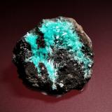 Auricalcita<br />Mina 79, Chilito, Zona Hayden, Distrito Banner, Montes Dripping Spring, Condado Gila, Arizona, USA<br />3 x 3 cm.<br /> (Autor: Antonio P. López)