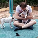 My love for dogs in one picture: Me playing with some of the puppies from my parents&rsquo; last litter in 2017 (Author: Tobi)