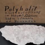 PolyhaliteJessenitz Mine, Lübtheen, Ludwigslust-Parchim, Mecklenburg-West Pomerania, Germany9 x 5 cm (Author: Andreas Gerstenberg)