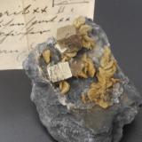 Pyrite with SideriteEisern, Siegen, Distrito Siegen-Wittgenstein, Arnsberg, Renania del Norte-Westfalia/Nordrhein-Westfalen, Alemania7 x 5 cm (Author: Andreas Gerstenberg)