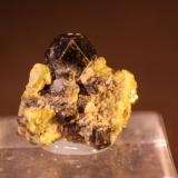 Andradite<br />Marki Khel, Spin Ghar Mountains, Khogyani District, Nangarhar Province, Afghanistan<br />24mm x 22mm x 16mm<br /> (Author: franjungle)