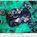 Cornetite<br />L'Etoile du Congo Mine, Lubumbashi (Elizabethville), Katanga Copper Crescent, Haut-Katanga (Shaba), Democratic Republic of the Congo (Zaire)<br />fov 5.5 mm<br /> (Author: ploum)