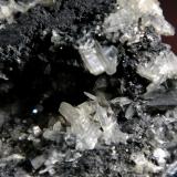 Cerusita y GalenaNivel 9, pozo nº 5, Mina San Fernando, filón El Cobre, Matacabras-Dehesa de las Yeguas, Bailén, Comarca Sierra Morena, Jaén, Andalucía, EspañaCampo visión 3 cm. (Autor: Antonio P. López)