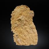 Tremolite (variety mountain leather)<br />Route 7 road cuts, New Ashford, Berkshire County, Massachusetts, USA<br />4.5 x 7.3 cm<br /> (Author: crosstimber)