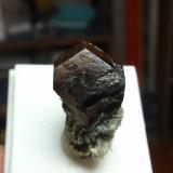 Andradita (Grupo Granate)<br />Pampa Blanca, Distrito Ticrapo, Provincia Castrovirreyna, Departamento Huancavelica, Perú<br />20x30 mm<br /> (Autor: Ignacio)