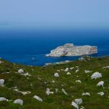 Islote de Perez Gil, bajo jurisdicción española, mas conocido como Isla Perejil y llamado Leïla en Marruecos. La mitad del islote mas cercana a la costa son calizas jurásicas; la otra mitad son dolomías, mas antiguas (Trías superior).

Al fondo a la izquierda se vislumbra el Peñón de Gibraltar. (Autor: Josele)