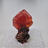 WulfeniteMina Red Cloud, Montes Trigo, Distrito Silver, Condado La Paz, Arizona, USA24 mm x 21 mm x 11 mm (Author: Don Lum)