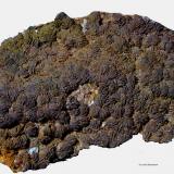 Barita y Fluorita.<br />Mina María Magdalena (Mina Santiago), calicata 'de l´Alzina', Lo Fangar (Els Solans), Ulldemolins, Comarca Priorat, Tarragona, Cataluña / Catalunya, España<br />84x52 mm.<br /> (Autor: Jesus Franquesa Baucells)