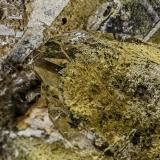 Quartz<br />Curvelo, Minas Gerais, Brazil<br /><br /> (Author: am mizunaka)
