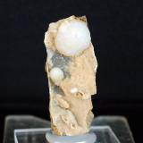 Cuarzo (variedad calcedonia)<br />Volcán Cabezo Negro de Zeneta, Murcia, Comarca Huerta de Murcia, Región de Murcia (Murcia), España<br />3.5 x 1 cm<br /> (Autor: Pedro Antonio)