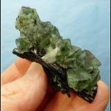 Fluorite with Schorl<br />Erongo Region, Namibia<br />68 x 32 x 28 mm<br /> (Author: Pierre Joubert)