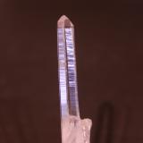 Quartz<br />San Cristobal, Municipio Suaita, Santander Department, Colombia<br />14mm x 74mm x 8mm<br /> (Author: franjungle)