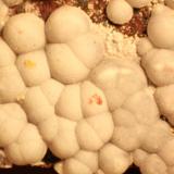 Calcite<br />La Cena del Depósito Claim, Huércal-Overa, Comarca Levante Almeriense, Almería, Andalusia, Spain<br />FOV 14 mm<br /> (Author: franjungle)