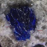 Azurita y Cuarzo<br />Can Vila, Artés, Comarca Bages, Barcelona, Cataluña / Catalunya, España<br />0´687 x 0´500 mm.<br /> (Autor: Jesus Franquesa Baucells)