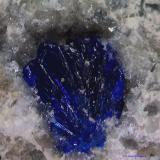 Azurita y Cuarzo.<br />Can Vila, Artés, Comarca Bages, Barcelona, Cataluña / Catalunya, España<br />0´687 x 0´500 mm.<br /> (Autor: Jesus Franquesa Baucells)