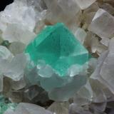 Fluorita<br />Pedrera Berta, Turó de Can Domènech, Serra de Roques Blanques, Sant Cugat del Vallès-El Papiol, Comarca Vallès Occidental / Baix Llobregat, Barcelona, Cataluña / Catalunya, España<br />cristal 15mm<br /> (Autor: Ramon A  Lopez Garcia)