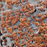limonita pseudomórfica de PiritaErmita de Sant Roc, Gurb, Comarca Osona, Gerona / Girona, Cataluña / Catalunya, España8,1 x 6,6 x 2,7 cms (Autor: Joan Martinez Bruguera)