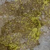 Quartz, Mimetite<br />Gottesehre Mine, Urberg, Dachsberg (Südschwarzwald), Waldshut, Freiburg, Baden-Württemberg, Germany<br /><br /> (Author: am mizunaka)