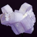 Fluorapatito<br />Ali Abad, Valle Hunza, Distrito Nagar, Gilgit-Baltistan (Áreas del Norte), Paquistán<br />25x23mm<br /> (Autor: Ramon A  Lopez Garcia)