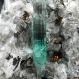 Beryl (variety emerald), Calcite, PyriteChivor (distrito minero), Mina Palo Arañado, Municipio Chivor, Cinturón Esmeraldífero Oriental, Departamento Boyacá, Colombia51x49x46mm, main xl=20mm (Author: Fiebre Verde)