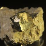 Pyrite<br />Ampliación a Victoria Mine, De Alcarama Range, Navajún, Comarca Cervera, La Rioja, Spain<br />Largest crystal size: 23mm.<br /> (Author: franjungle)