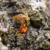 PlataMina Las Cruces, Gerena-Guillena-Salteras, Comarca Sierra Norte, Sevilla, Andalucía, EspañaCampo de visión de 2 mm (Autor: Antonio Carmona)