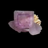 Fluorita<br />La Cabaña, Valdelmar, zona minera de Berbes, Berbes, Ribadesella, Comarca Oriente, Principado de Asturias (Asturias), España<br />8x4,5x4,5 cm.<br /> (Autor: Nacho)