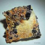 Espinela.<br />Llanos del Juanar, Ojén, Comarca Costa del Sol Occidental, Málaga, Andalucía, España<br />40x40 mm.<br /> (Autor: Jesus Franquesa Baucells)