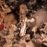 Fluorapatite<br />Nuestra Señora del Carmen Mines, La Celia, Jumilla, Comarca Altiplano, Region of Murcia (Murcia), Spain<br />FOV 16 mm<br /> (Author: franjungle)