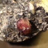 Almandine<br />Rambla de las Granatillas, El Hoyazo, Níjar, Comarca Metropolitana de Almería, Almería, Andalusia, Spain<br />Crystal size: 3mm<br /> (Author: franjungle)